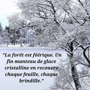 Extrait du roman « L’arbre de Rose » avec une citation illustrant Rose, garde-forestière en Auvergne, et les thèmes de la nature, du deuil et des secrets familiaux.
