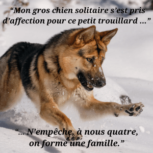 Extrait du roman « L’arbre de Rose » avec une citation illustrant Rose, garde-forestière en Auvergne, et les thèmes de la nature, du deuil et des secrets familiaux.
