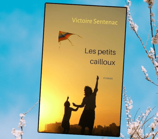 Chronique littéraire du roman "Les petits cailloux"