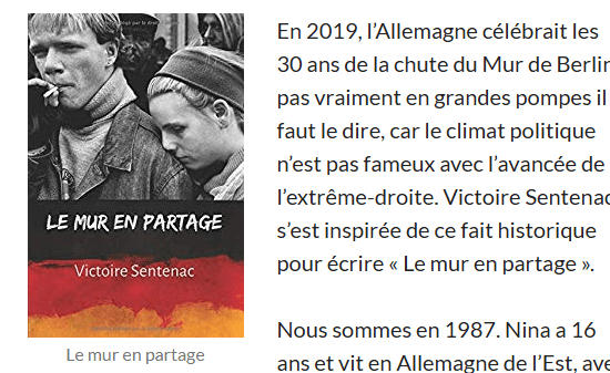 Chronique littéraire du roman "Le mur en partage"
