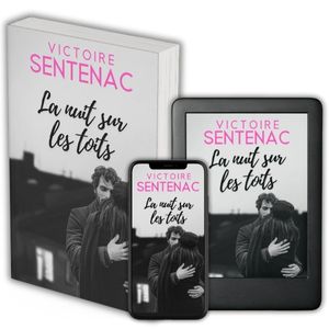 Couverture du roman « La nuit sur les toits », histoire d’amour dramatique entre Elisa et Grégoire, explorant la passion, les retrouvailles et les dilemmes liés à l’amour interdit.